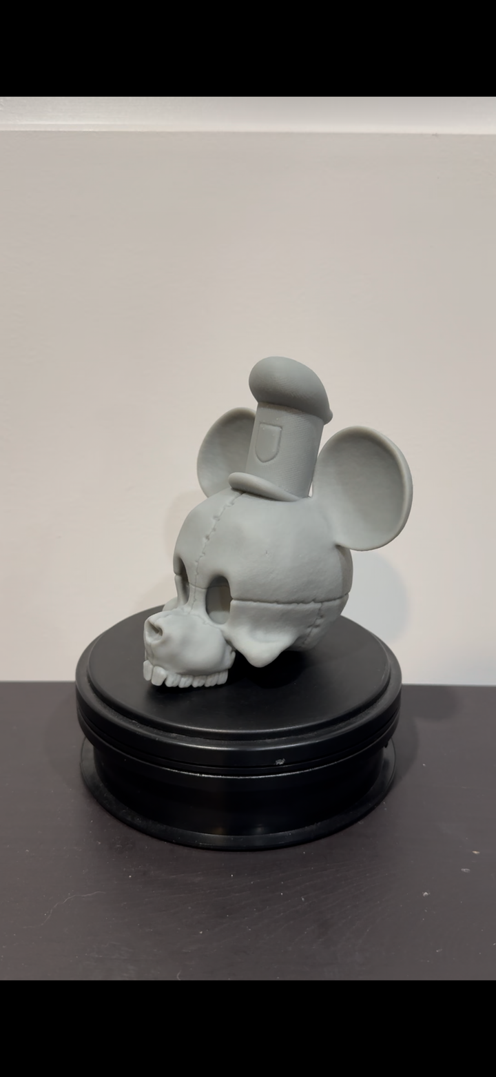 Steamboat Mickey Skull