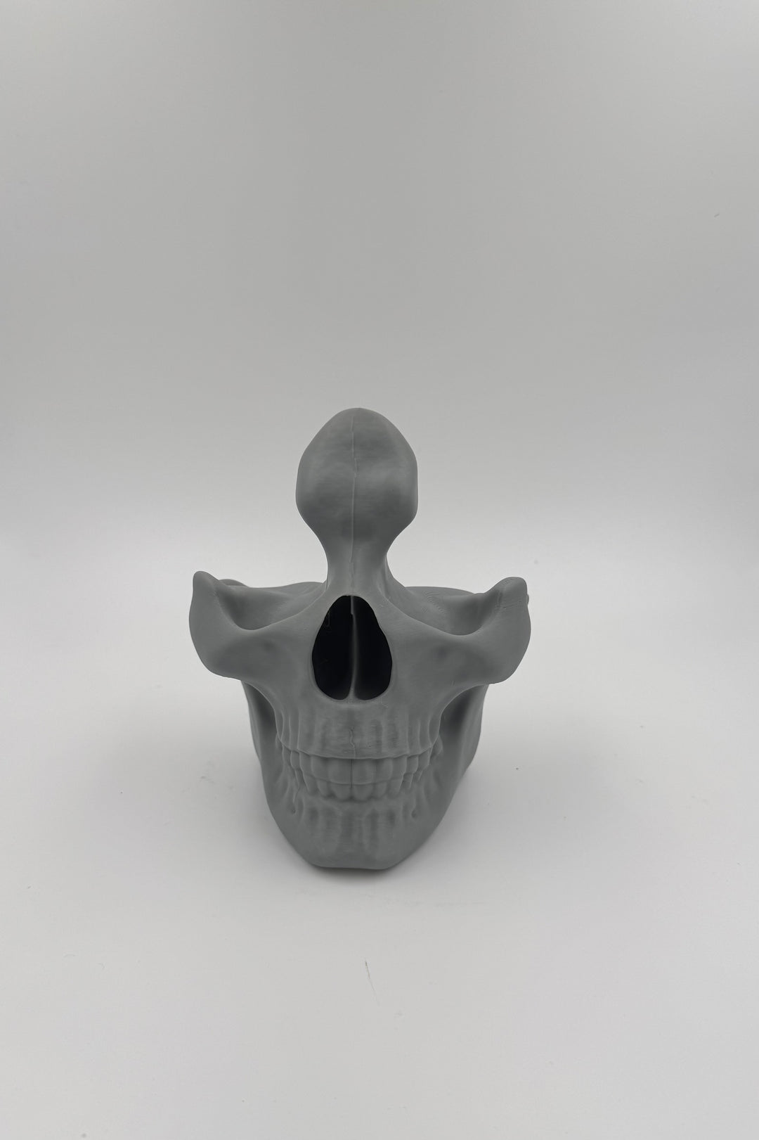 Glasses Skull Display Stand