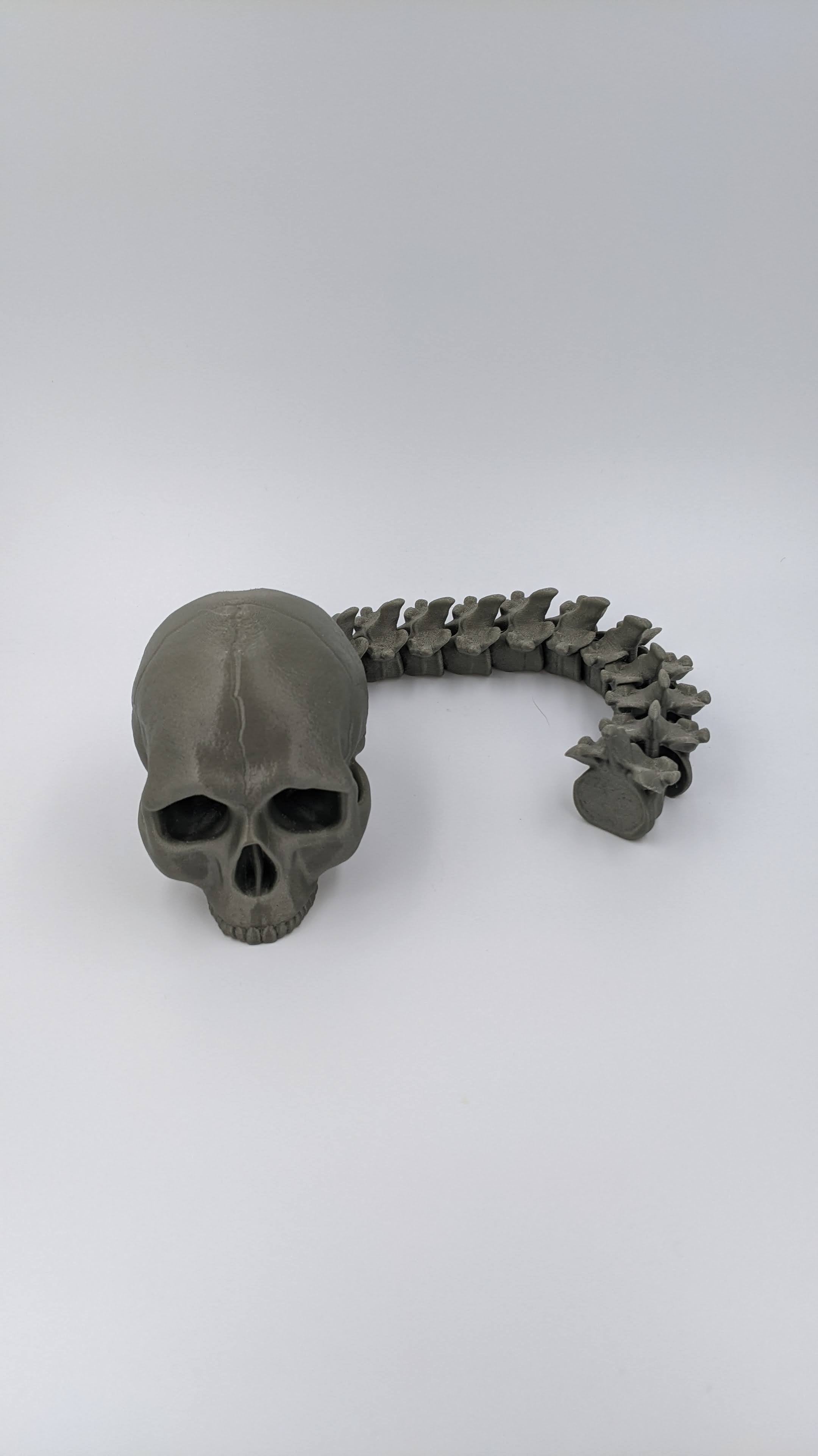 Articulated Skull and Spine Anatomy Model Realistic Medical Teaching Tool Halloween Decor