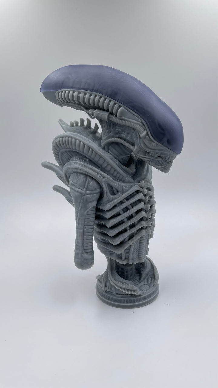 The physical form of an Alien / Xenomorph can vary widely depending on its life stage, hive, caste, age, and host. Its ability to incorporate genetic material from its host, coupled with the existence of numerous mutations and deviations which have originated naturally or artificially; makes the Xenomorph one of the most phenotypically diverse organisms in the galaxy.