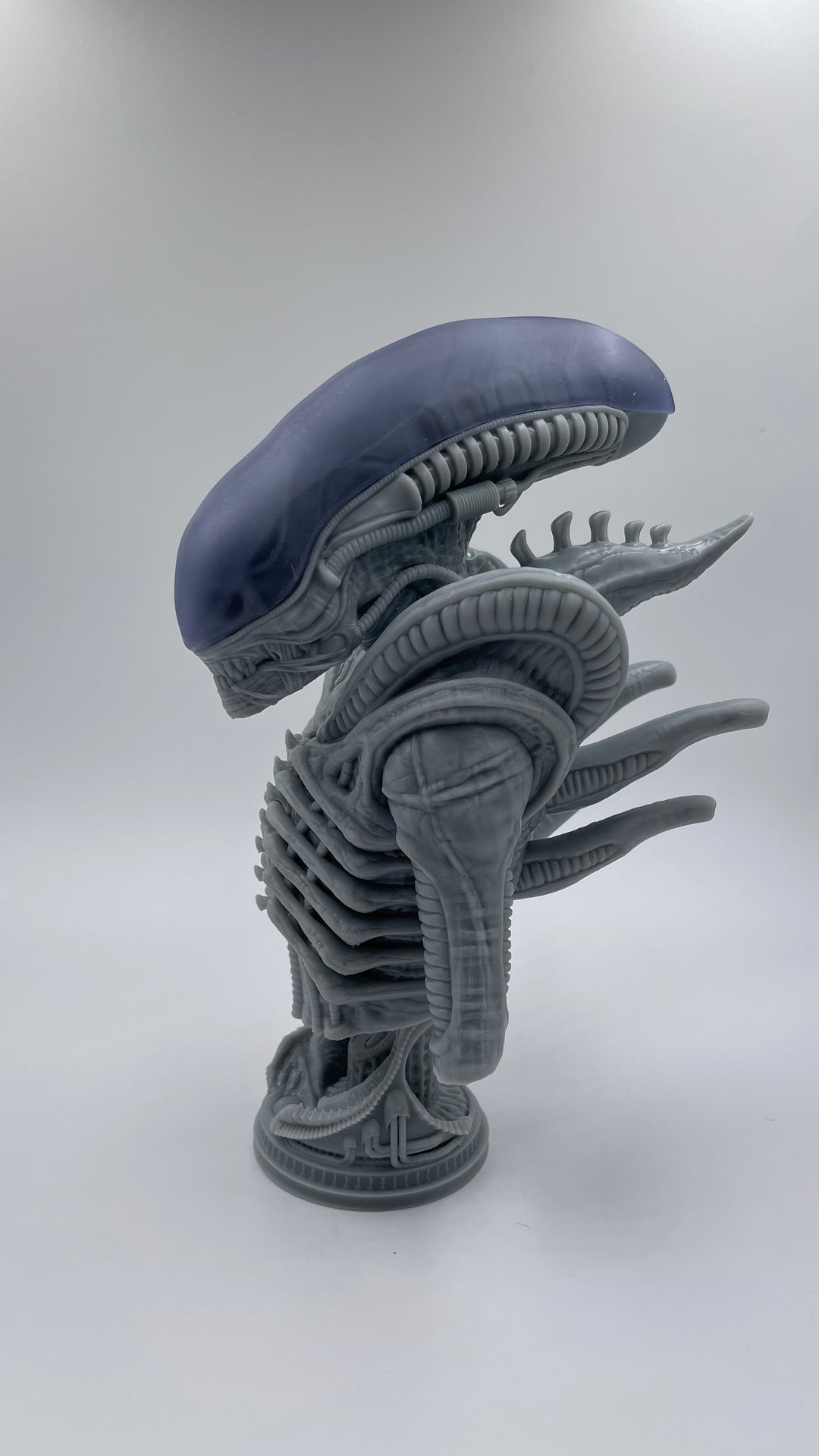 The physical form of an Alien / Xenomorph can vary widely depending on its life stage, hive, caste, age, and host. Its ability to incorporate genetic material from its host, coupled with the existence of numerous mutations and deviations which have originated naturally or artificially; makes the Xenomorph one of the most phenotypically diverse organisms in the galaxy.