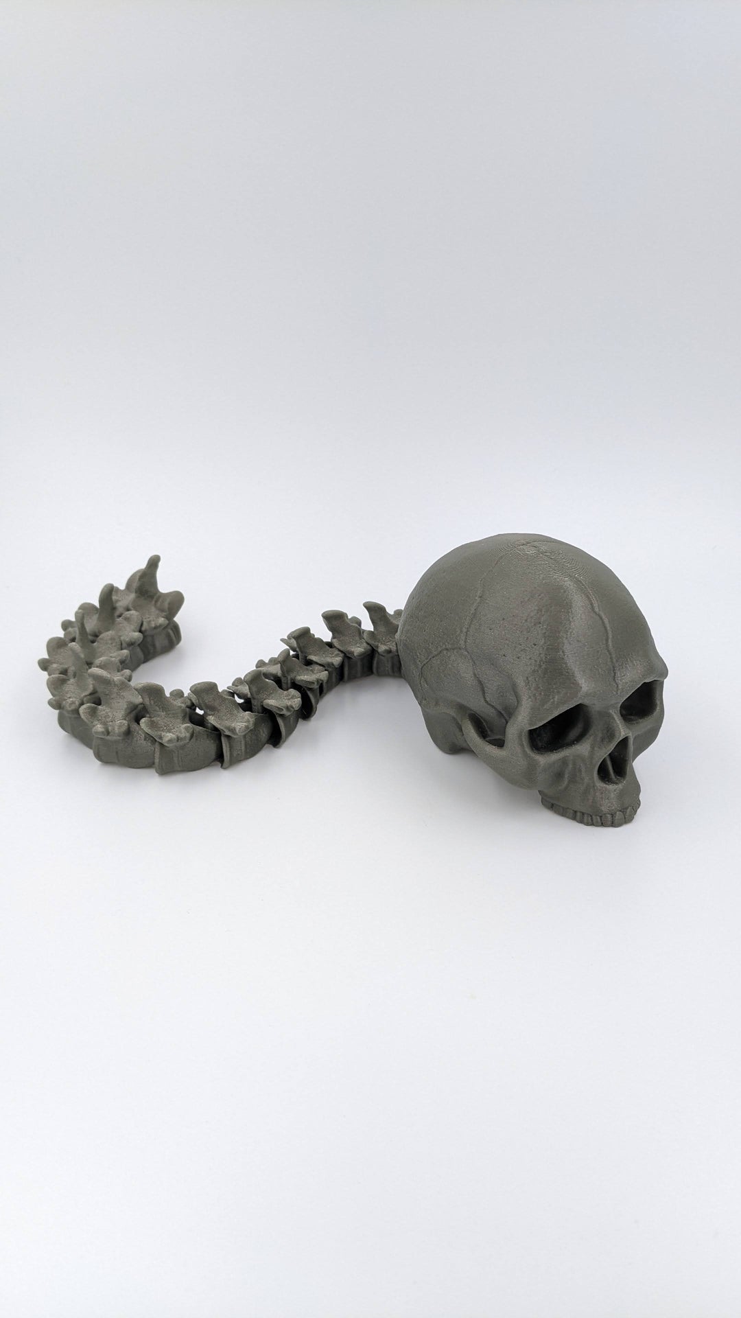 Articulated Skull and Spine Anatomy Model Realistic Medical Teaching Tool Halloween Decor