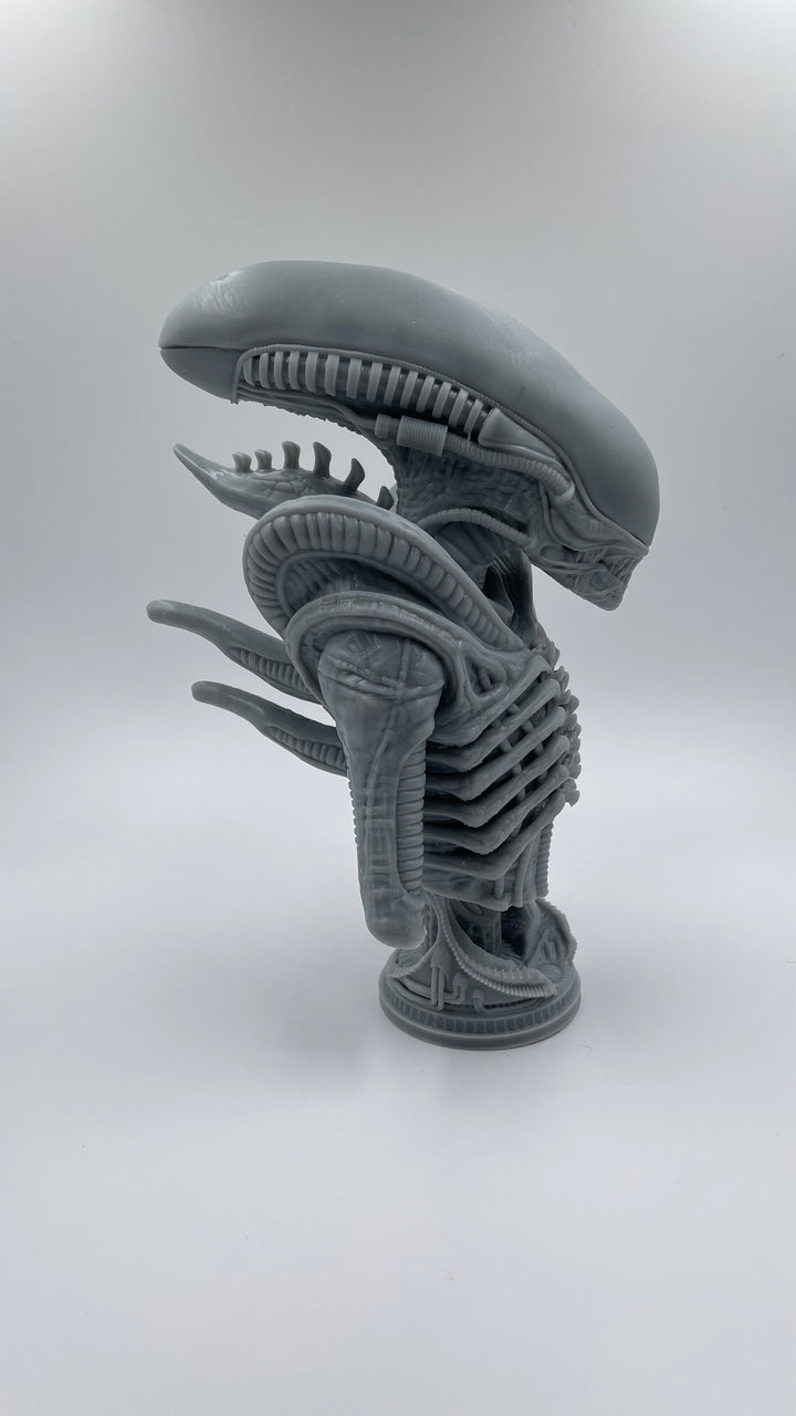 Alien Xenomorph