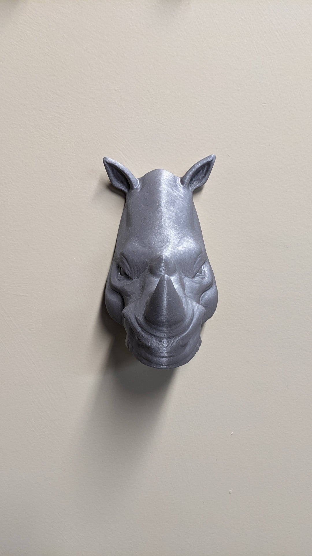 Feng Shui Rhino Protection